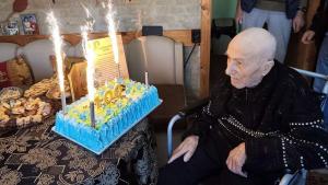 столетник Козловец