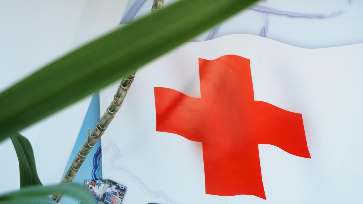 Над 500 хиляди семейства с право на пакети с храна от ЕС