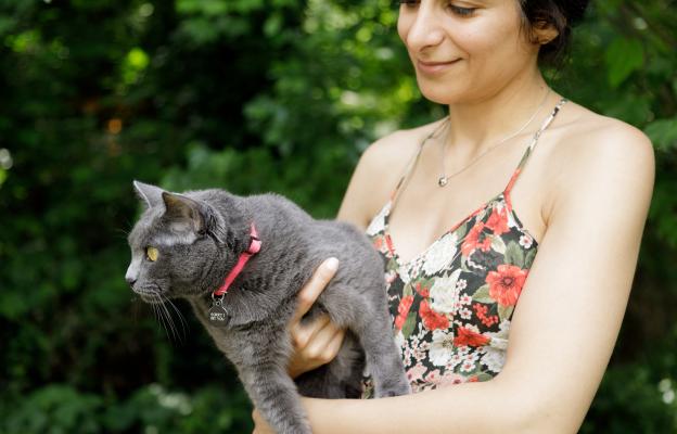 Котка навън