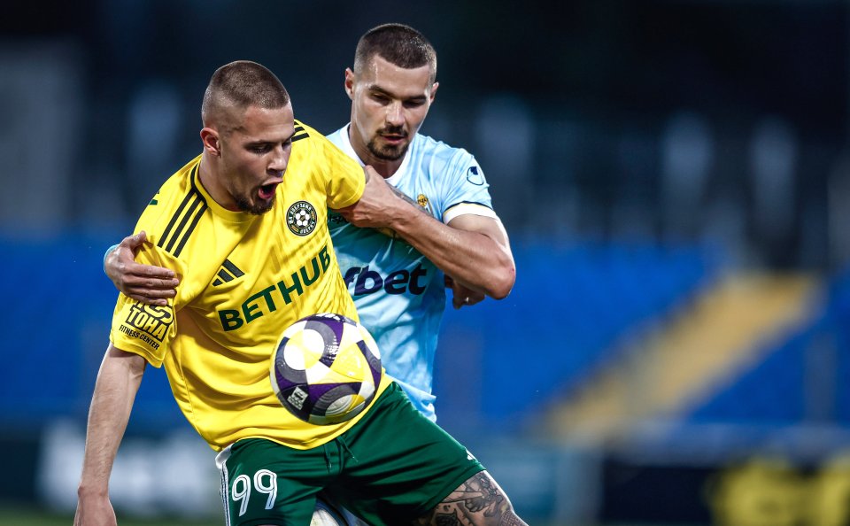 Арда Добруджа1