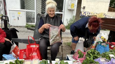 Животновъдство