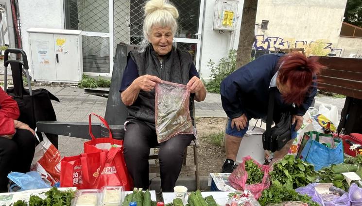 Животновъдство - КЗК : Животновъдството умира, села обезлюдяват