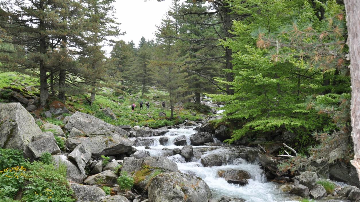 Образователни занимания за деца и почистване на чешми за Световния ден на водата