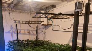 оранжерия Русе