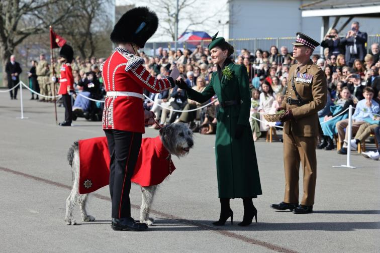 кейт свети патрик