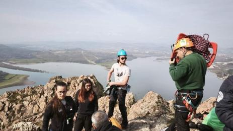 овца и агне