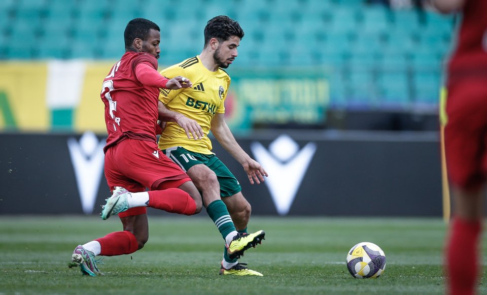 ЦСКА Добруджа1