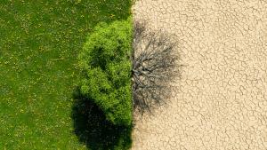 Последните 11 години са били най-горещите на Земята от 1850 г. насам