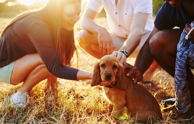 социализация на кученцето