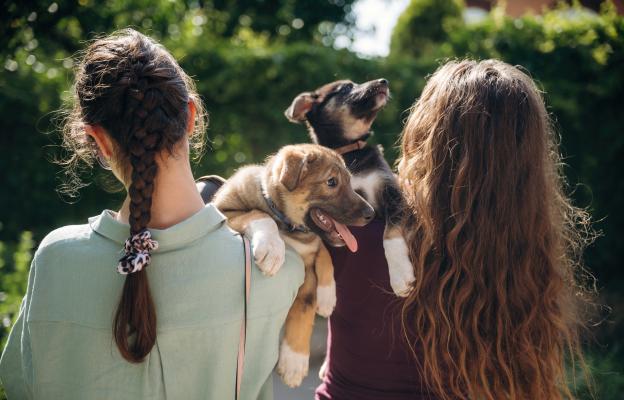 социализация на кученцето