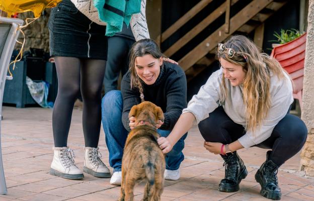 социализация на кученцето