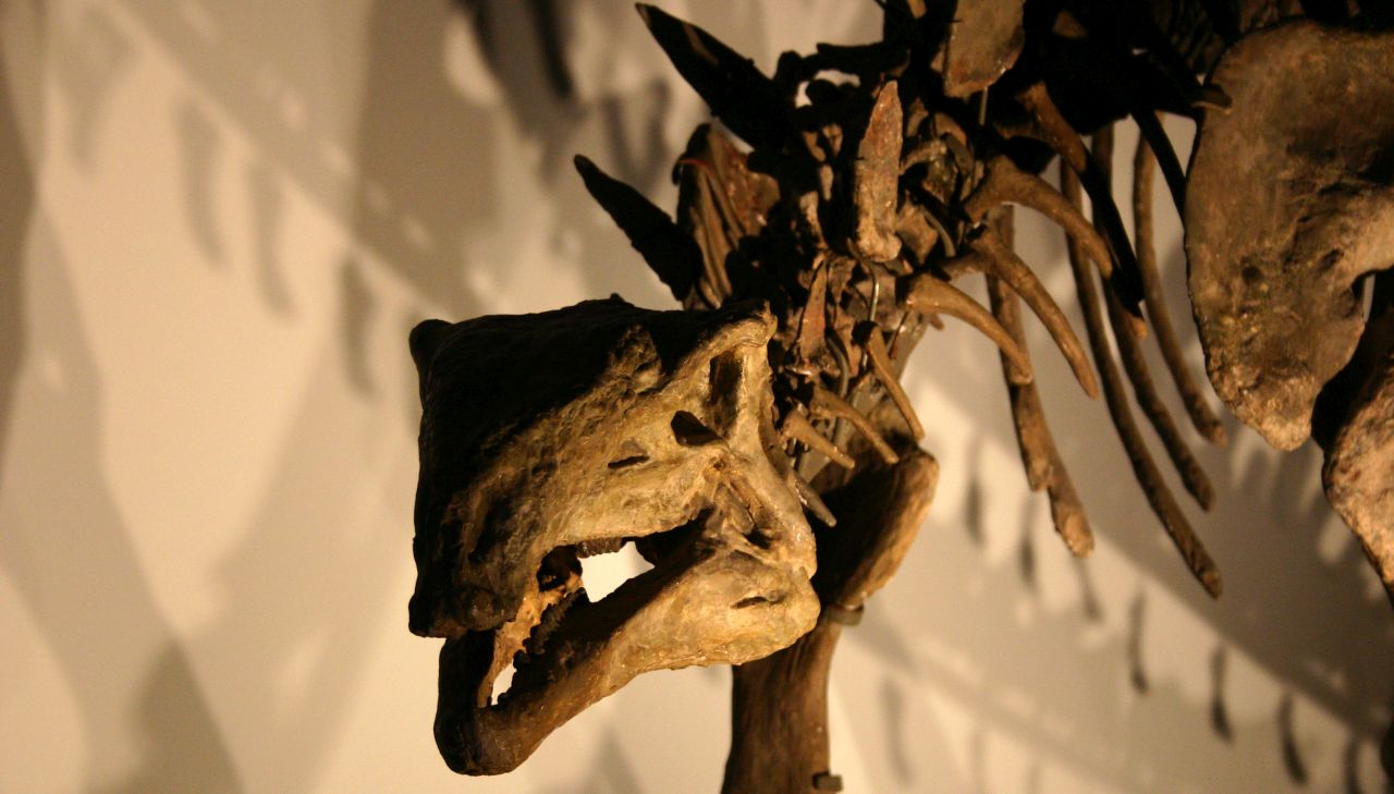 Тайният супертрезор на Азия: Мястото, където динозаврите съжителстват със златото