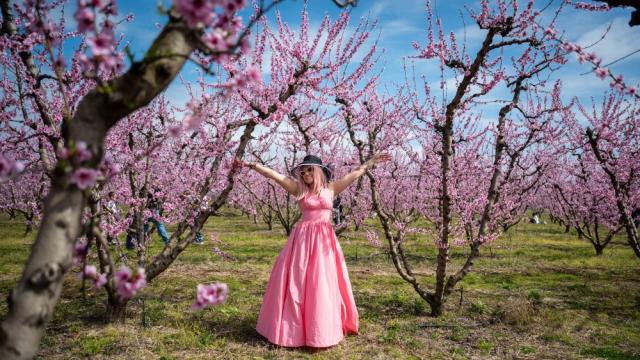 Природата се пробужда – пролетта е тук и ни омагьосва с красота (ГАЛЕРИЯ)