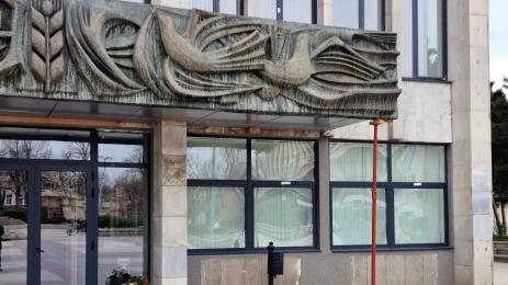 видинско кметство