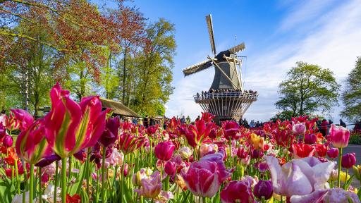 Къде се крие най-красивата пролет? Магични дестинации за следващото ви пътуване