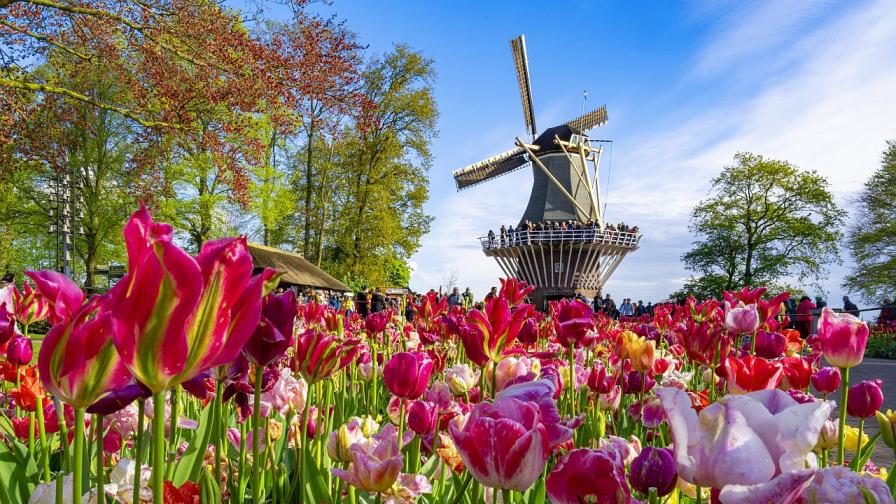 Къде се крие най-красивата пролет? Магични...