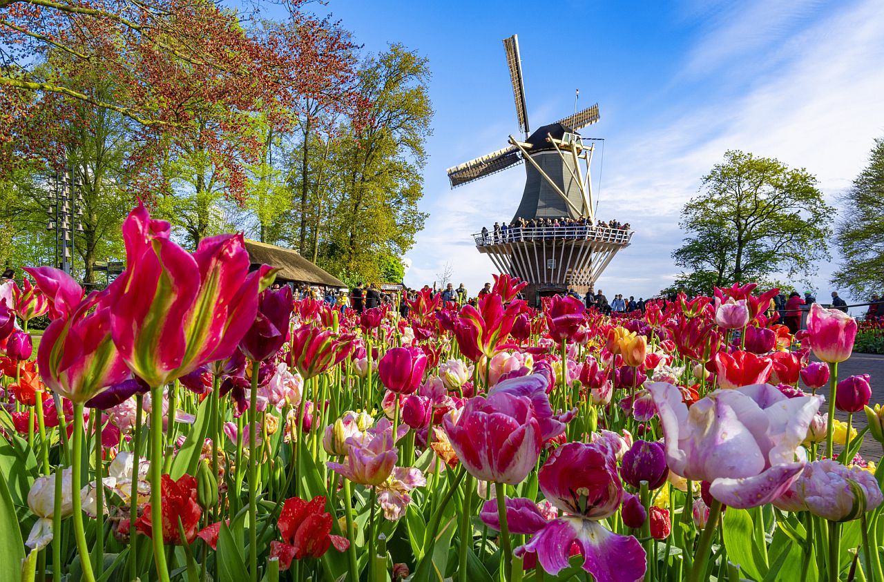 <p>Лисе, Нидерландия Април е най-доброто време от годината за посещение на Лисе. Над седем милиона цветя цъфтят от края на март до април, създавайки наистина уникален пейзаж.</p>