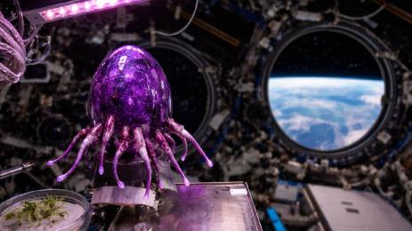 извънземно