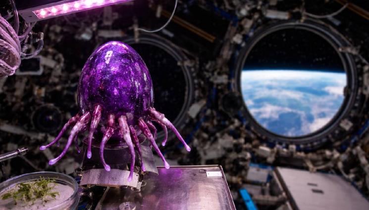 извънземно - ПРИШЪЛЕЦЪТ ОЖИВЯ: Астронавти заснеха извънземен живот, растящ на МКС! (СНИМКИ)