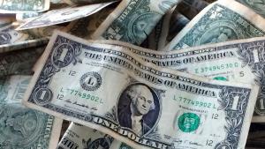 долари