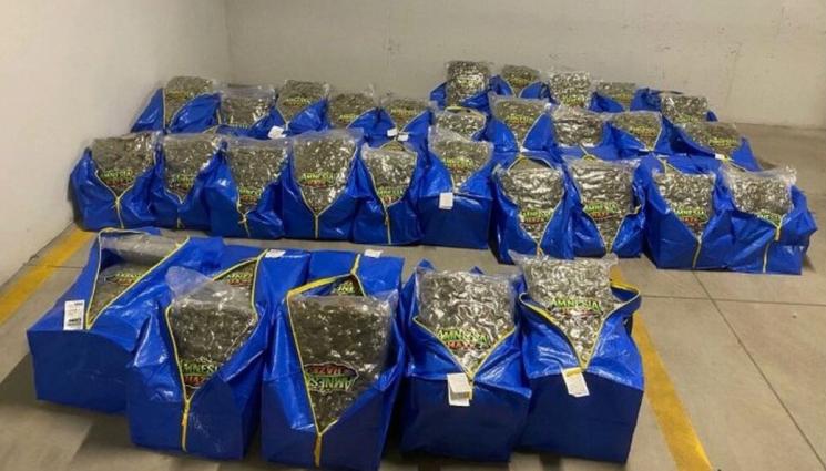 наркотици - Заловиха голямо количество наркотици в София (СНИМКИ)