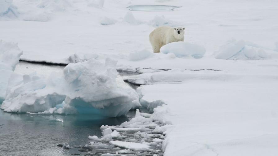 Тревожен рекорд: Ледът в Арктика достигна най-ниските си нива в историята