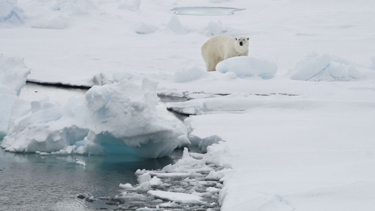 Тревожен рекорд: Ледът в Арктика достигна най-ниските си нива в историята