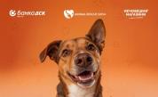 Банка ДСК и Animal Rescue Sofia стартират кампания „Точно за теб“ в подкрепа на осиновяването на домашни любимци