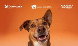 Банка ДСК и Animal Rescue Sofia стартират кампания „Точно за теб“ в подкрепа на осиновяването на домашни любимци