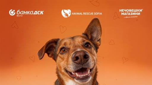 Банка ДСК и Animal Rescue Sofia стартират кампания „Точно за теб“ в подкрепа на осиновяването на домашни любимци