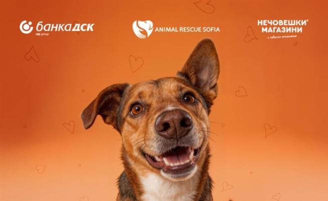 Банка ДСК и Animal Rescue Sofia стартират кампания „Точно за теб“ в подкрепа на осиновяването на домашни любимци