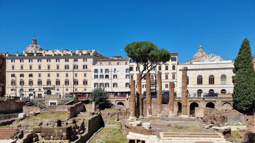 Голямо дърво падна и рани двама души в Рим