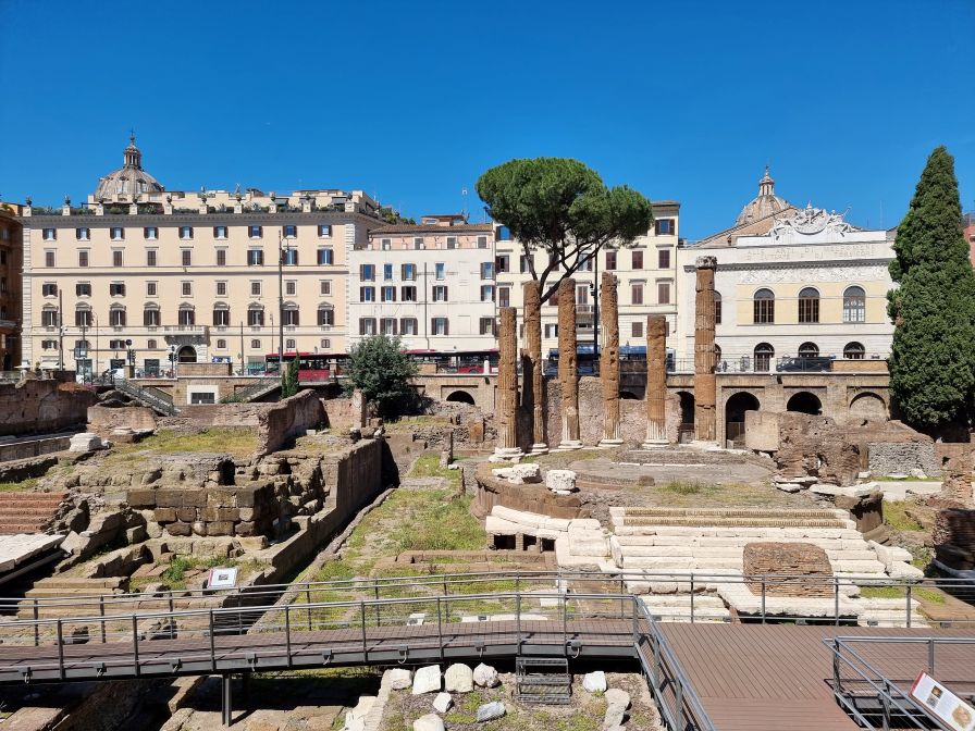 Голямо дърво падна и рани двама души в Рим