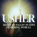 Usher ft. Pitbull