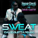 Snoop Dogg ft. David Guetta