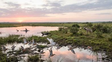 защитени животни