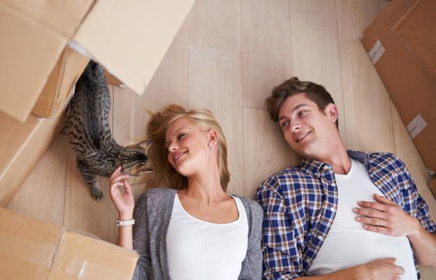 Котка се мести