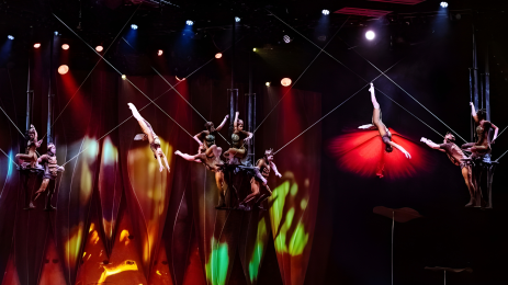 цирк дю сюлей