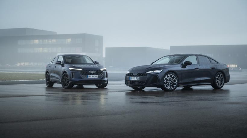 Audi A6 и Q5 дизел