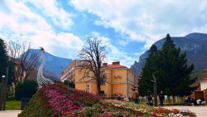 цветя пролет Враца