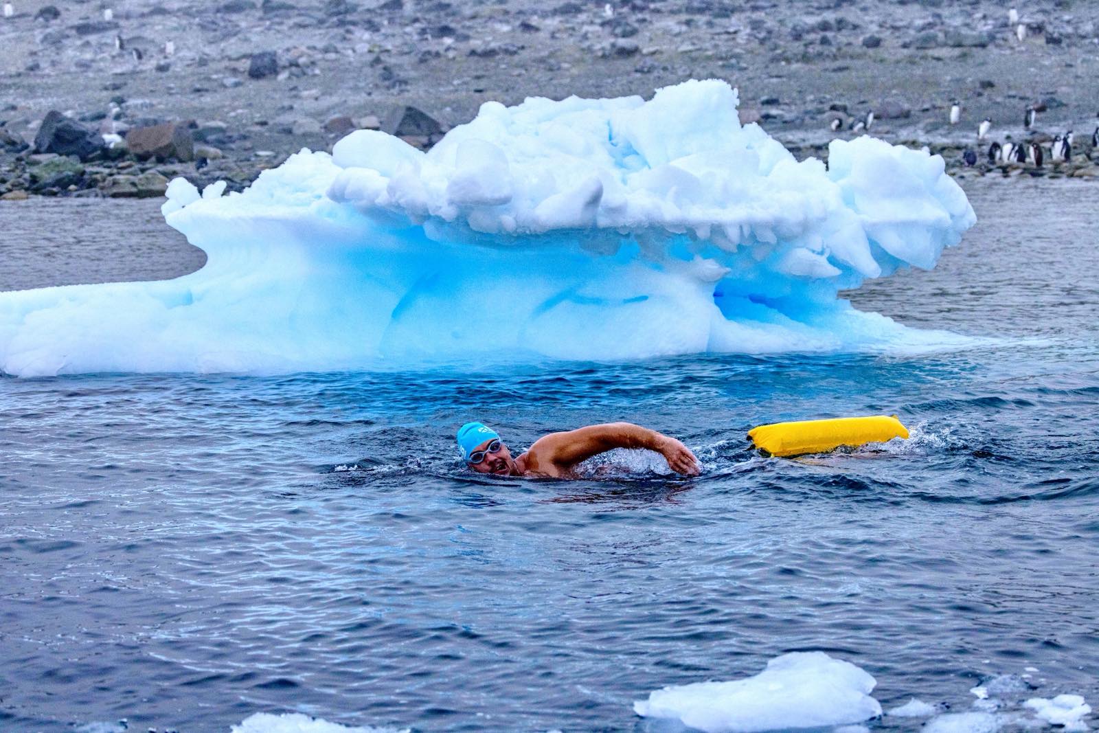 Теодор Цветков