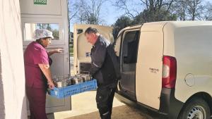 социален патронаж