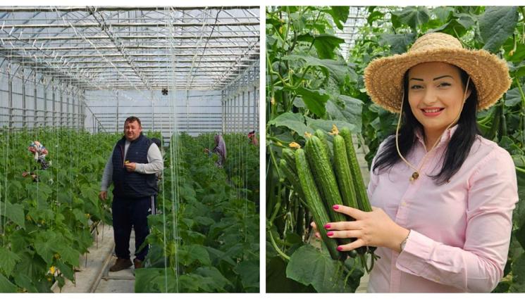 s - БГ краставиците свалиха цените на вноса