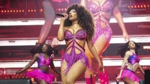 Меган Дъ Стелиън