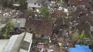 Индонезия трус