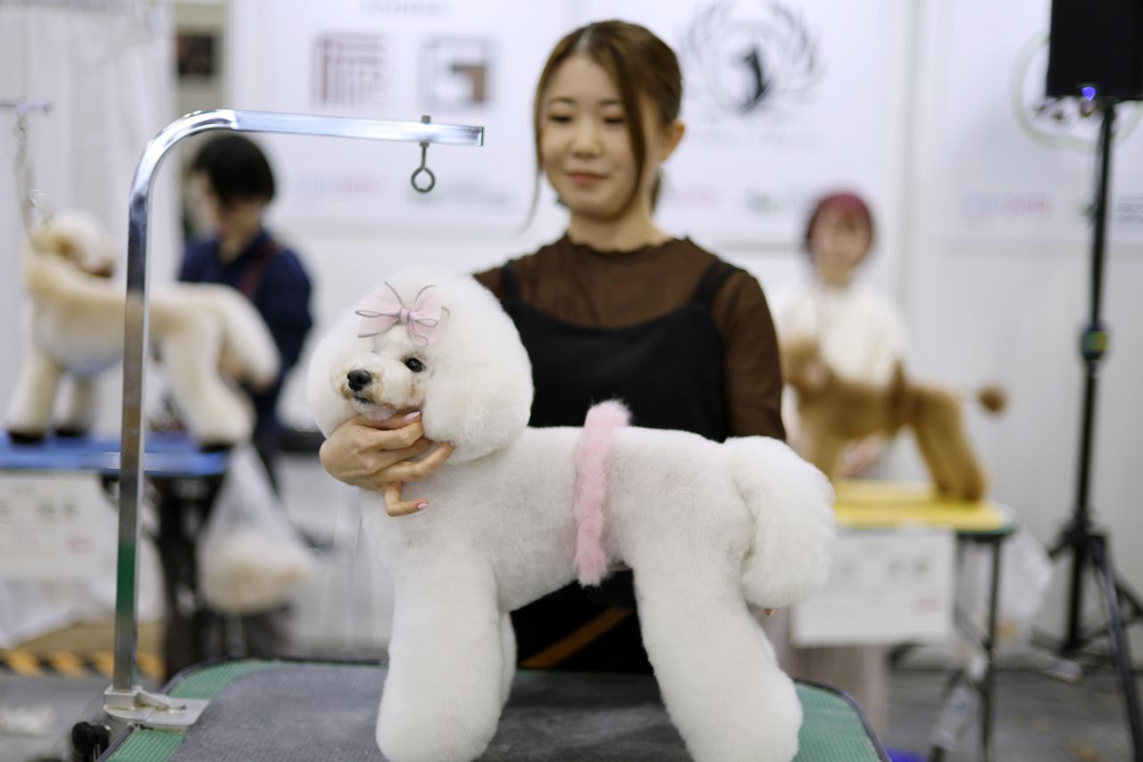 <p>Юбилейното 15-о изложение Interpets Tokyo 2026 в Tokyo Big Sight ще събере стотици изложители и топ стилисти, поставяйки основен акцент върху професионалния груминг и иновативните продукти за разкрасяване на домашни любимци.</p>