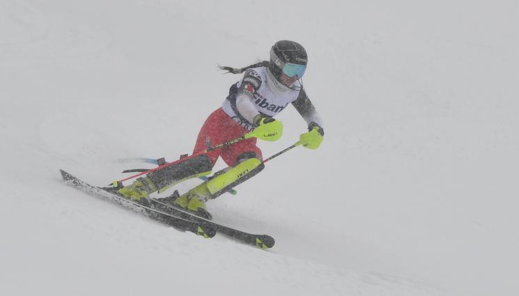 Анина Цурбриген - Анина Цурбриген и Калин Златков спечелиха и слаломите за купа 