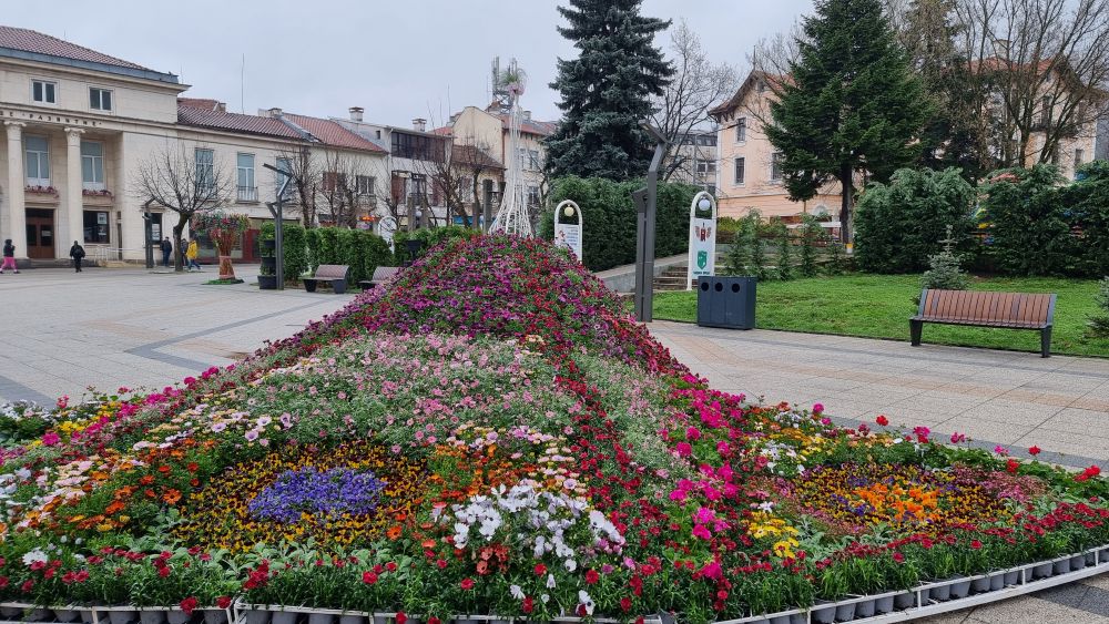 Празничната украса за Великден във Враца