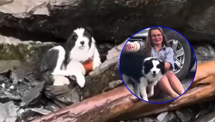 a - ЧУДО: Туристка пада от 55-метров водопад, кучето ѝ оцелява като герой! (ВИДЕО)