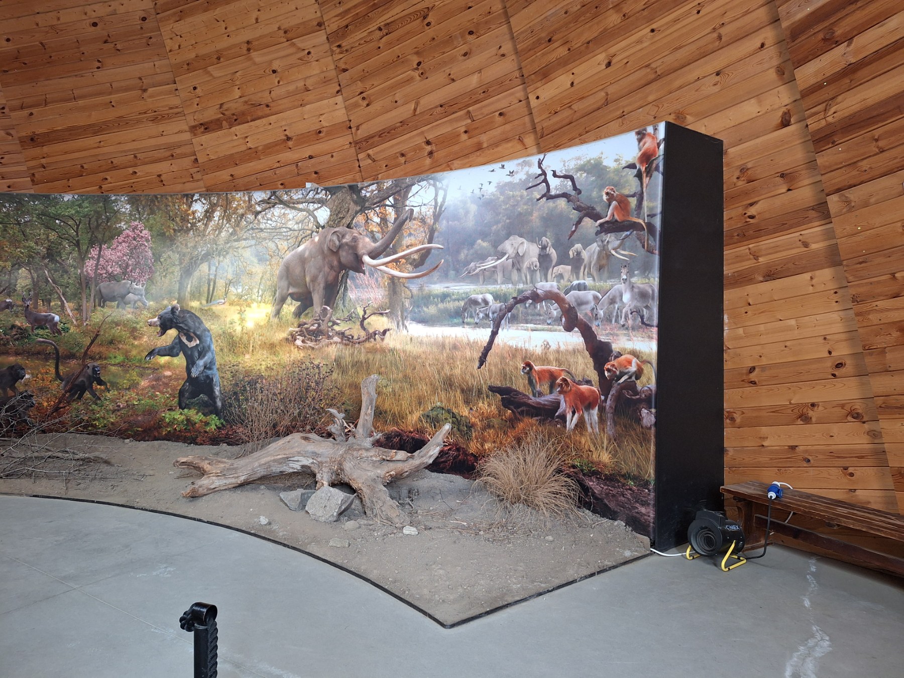 <p>Плиоценският парк в Дорково е най-голямото находище на Балканите, събрало над 600 кости от 30+ вида древни животни. С уникалния си музей то разкрива вълнуваща история за климата и природата в Източна Европа преди милиони години.</p>